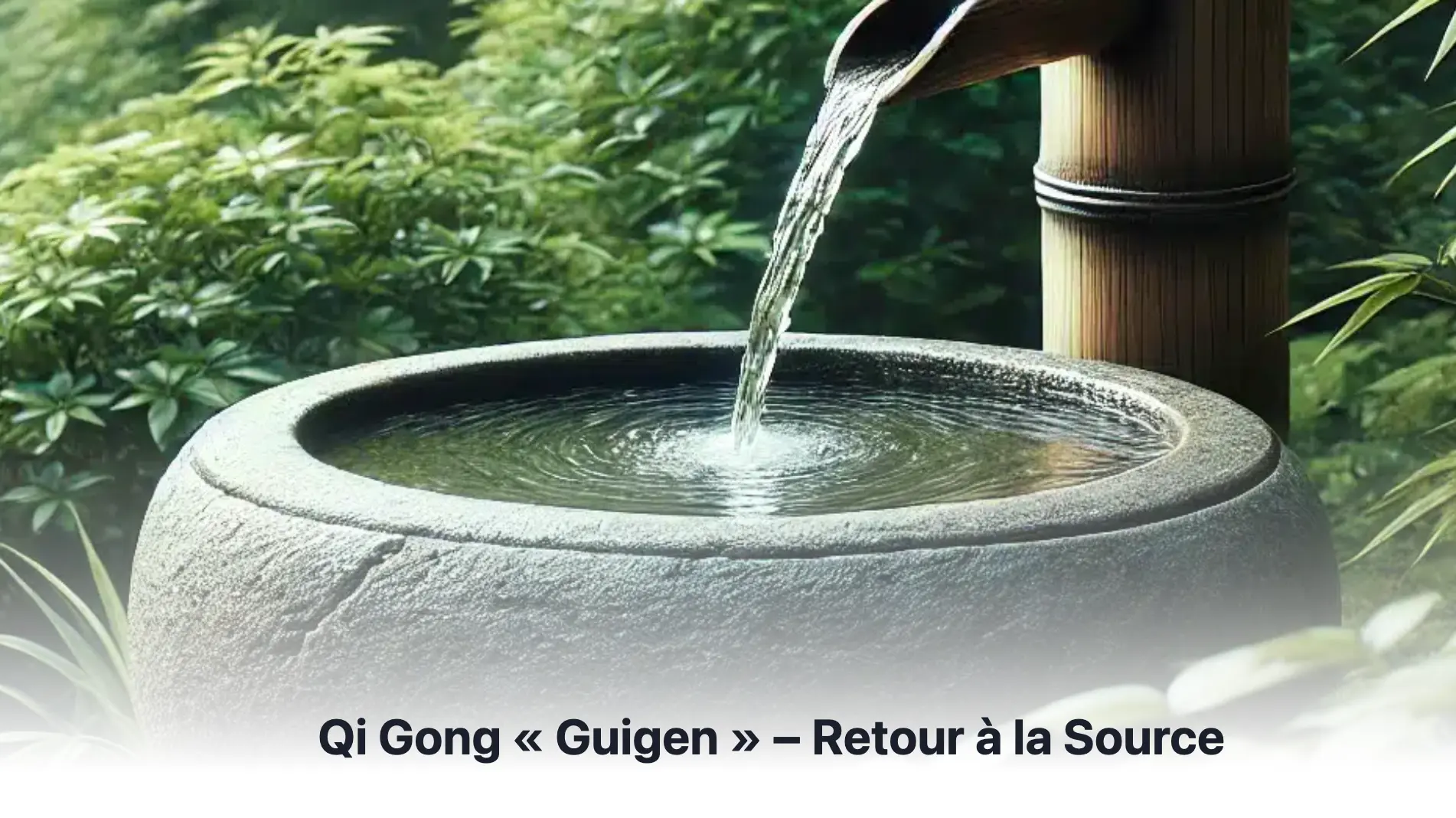 Blog Qi Gong1
