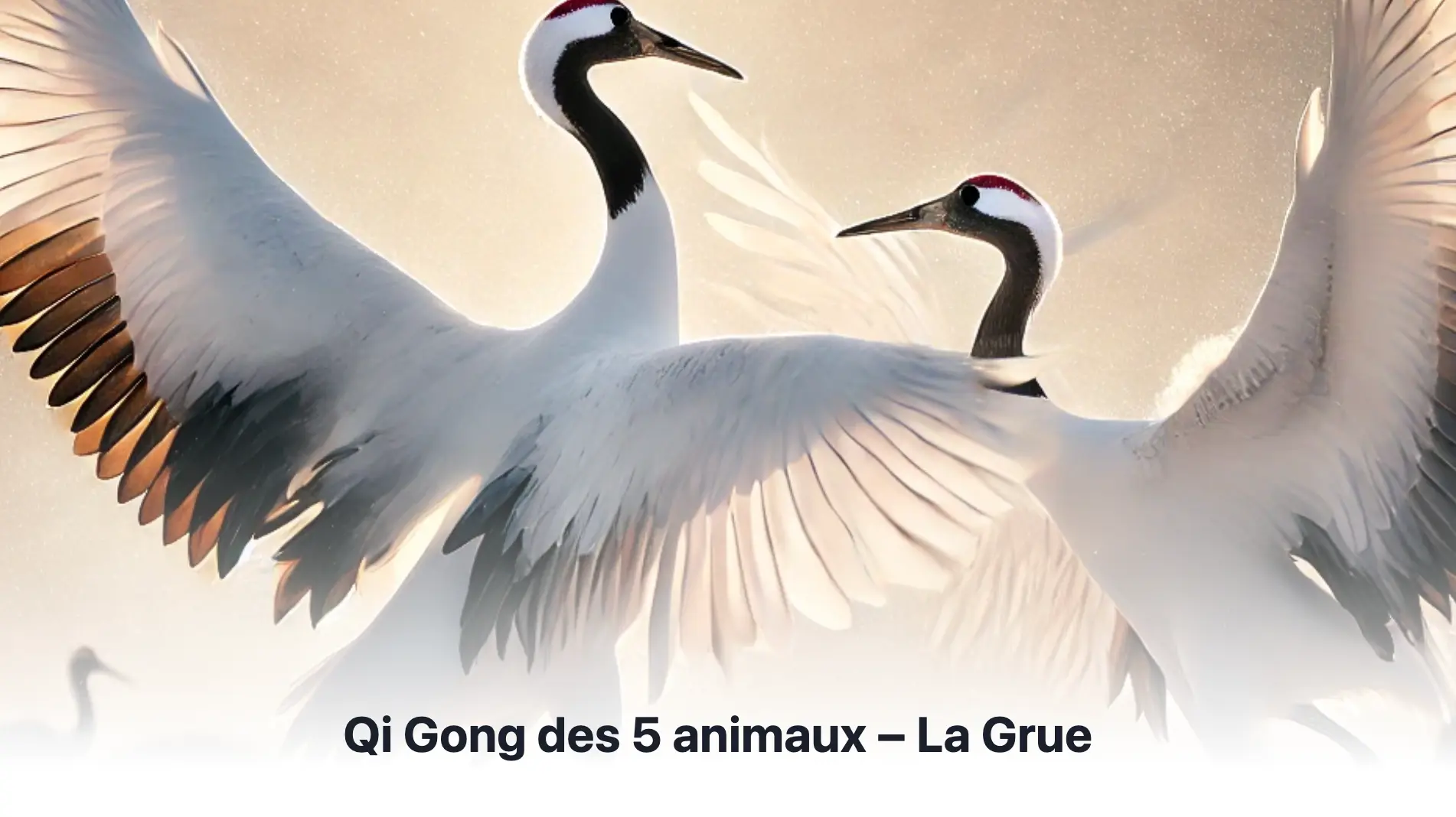 Blog Qi Gong2